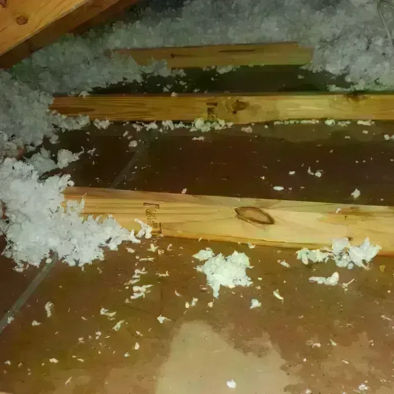 Attic Water Damage in Russell, KS