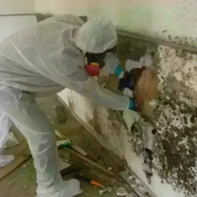 Mold Remediation and Removal in Russell, KS