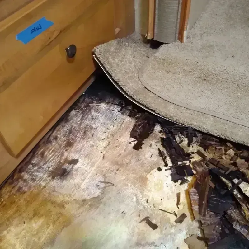 Best Wood Floor Water Damage Service in Russell, KS